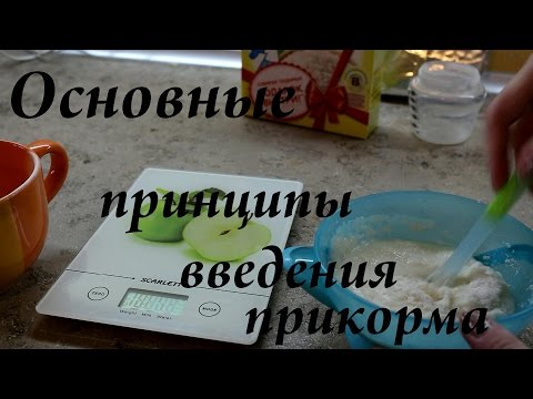 Введение первого прикорма. Основные принципы и порядок. Мой опыт!/ BY Maria Введение первого прикорма. Основные принципы и порядок. Мой опыт!/ BY Maria