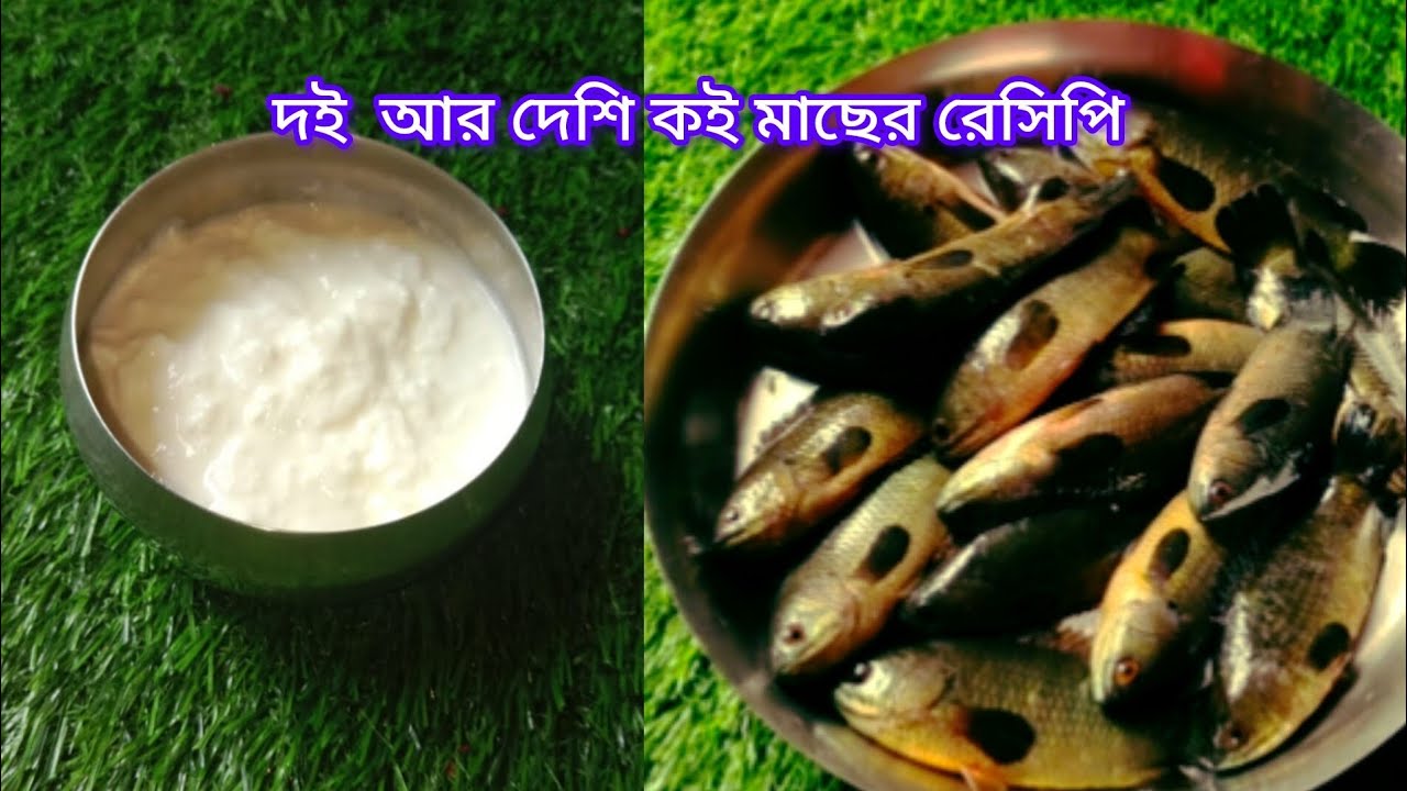 কৈ মাছের রেসিপি দই কই 