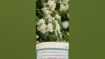استمع/ي للقرآن الكريم وانشر/ي القرآن الكريم