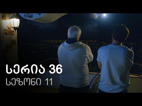 ჩემი ცოლის დაქალები - სერია 36 (სეზონი 11)