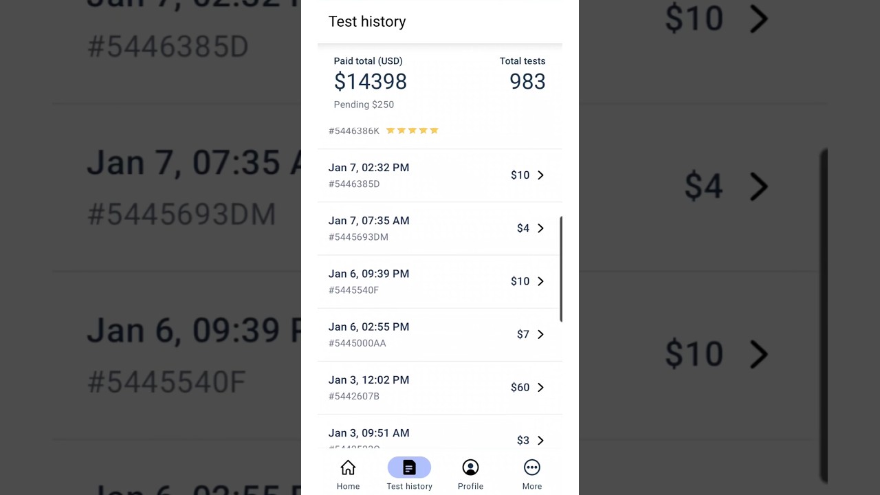 I'm Over $14k 💰 | How Much Does User Testing Pay | Jan. Earnings | Make Money Online |  