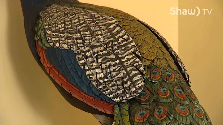 Jack Fisher Bird Carver - Shaw TV Nanaimo