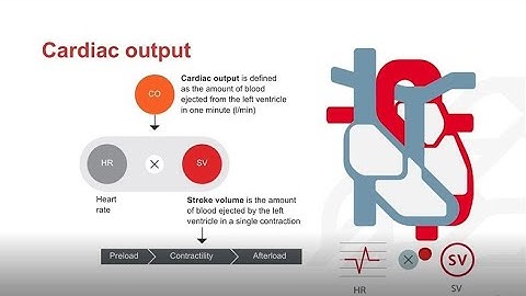 Cardiovascular Physiology (1 of 3)