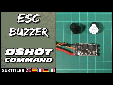 Esc Buzzer -
