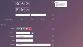 Vidskippy-Setting Up A New Project Demo