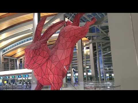 Sacramento's Red Rabbit