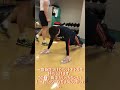 【ハンドボール】家でもできるトレーニング。胸・肩編