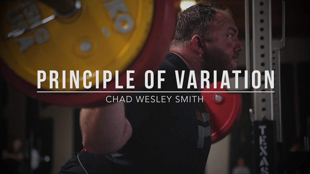 Principle of Variation | JTSstrength.com systems biology