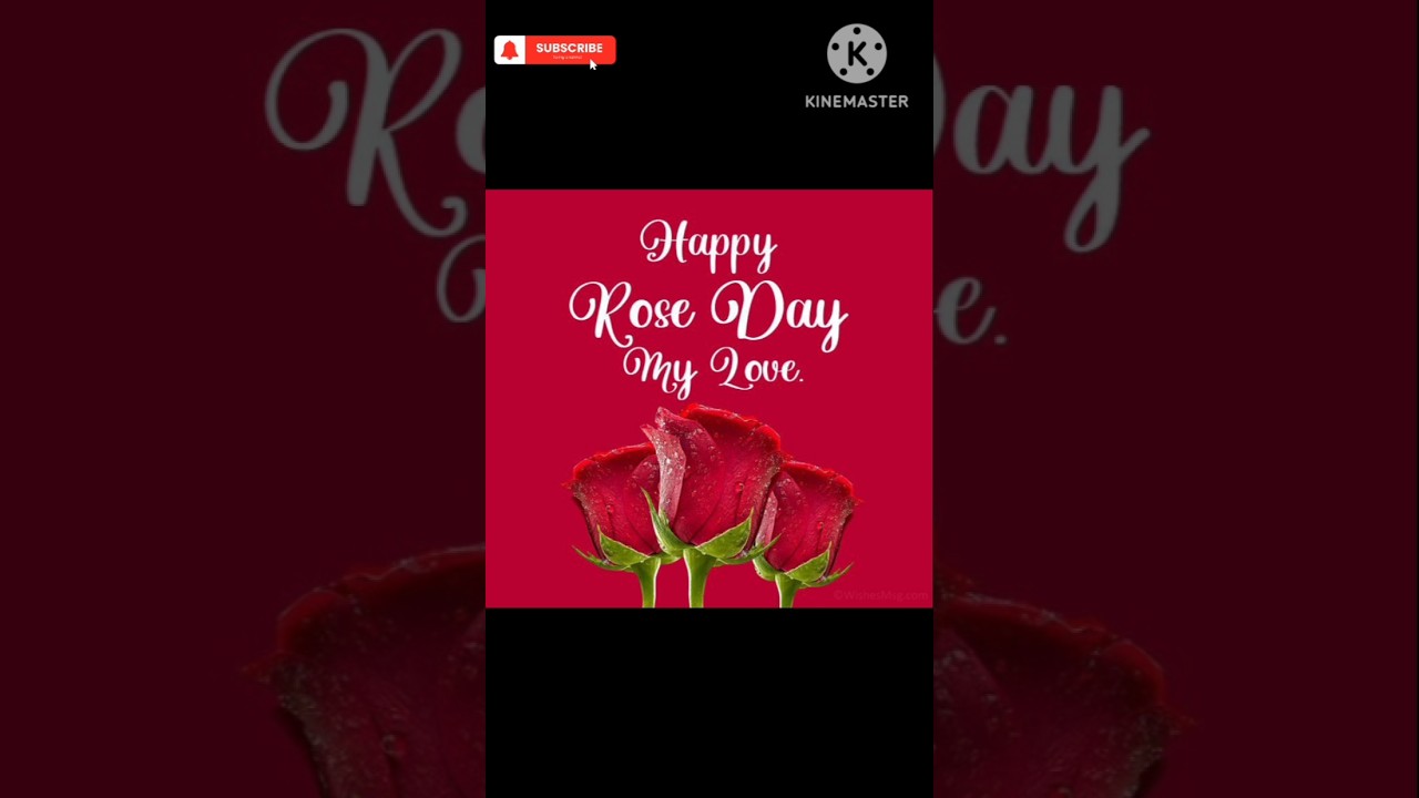 Happy Rose Day Images, Quotes 2025 || Happy Rose Day Greetings, Wallpapers, Wishes, Pics