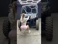Для чего нужен BRP Defender Max.