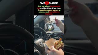 Birds dining in a car