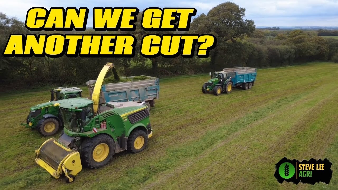 ПОСЛЕДНИЙ ШАНС ПОТРАВИТЬСЯ? А КЛАСС ВЫШЕЛ НА РАБОТУ