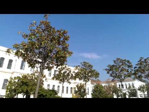 HTC One max Video test sample 1080p