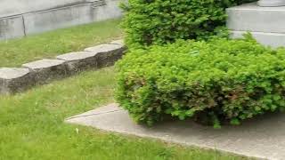 My Journey Through Oak Woods Cemetery in Chicago IL Part 1