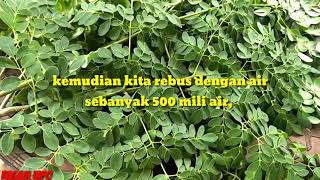 Cara Mengelolah Daun Kelor untuk Mata