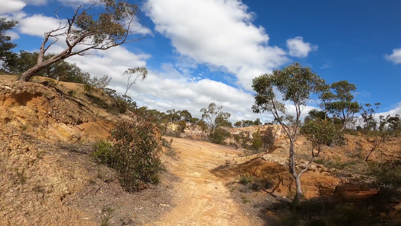 Scott Creek Conservation Park