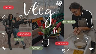 видео: что я делала весной 🌷VLOG картинка: что я делала весной 🌷VLOG
