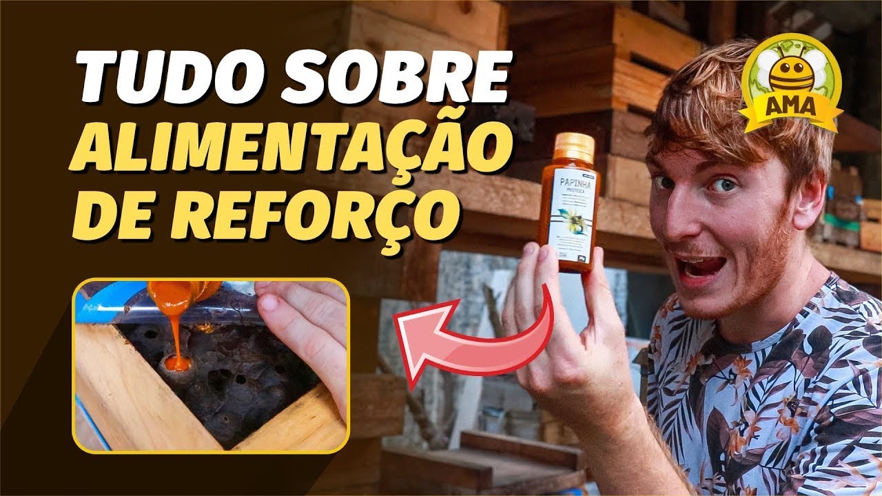 ALIMENTAÇÃO DE REFORÇO   O JEITO CERTO de alimentar suas ABELHAS NATIVAS