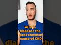 “Why is diabetes the most common cause of chronic renal failure?”