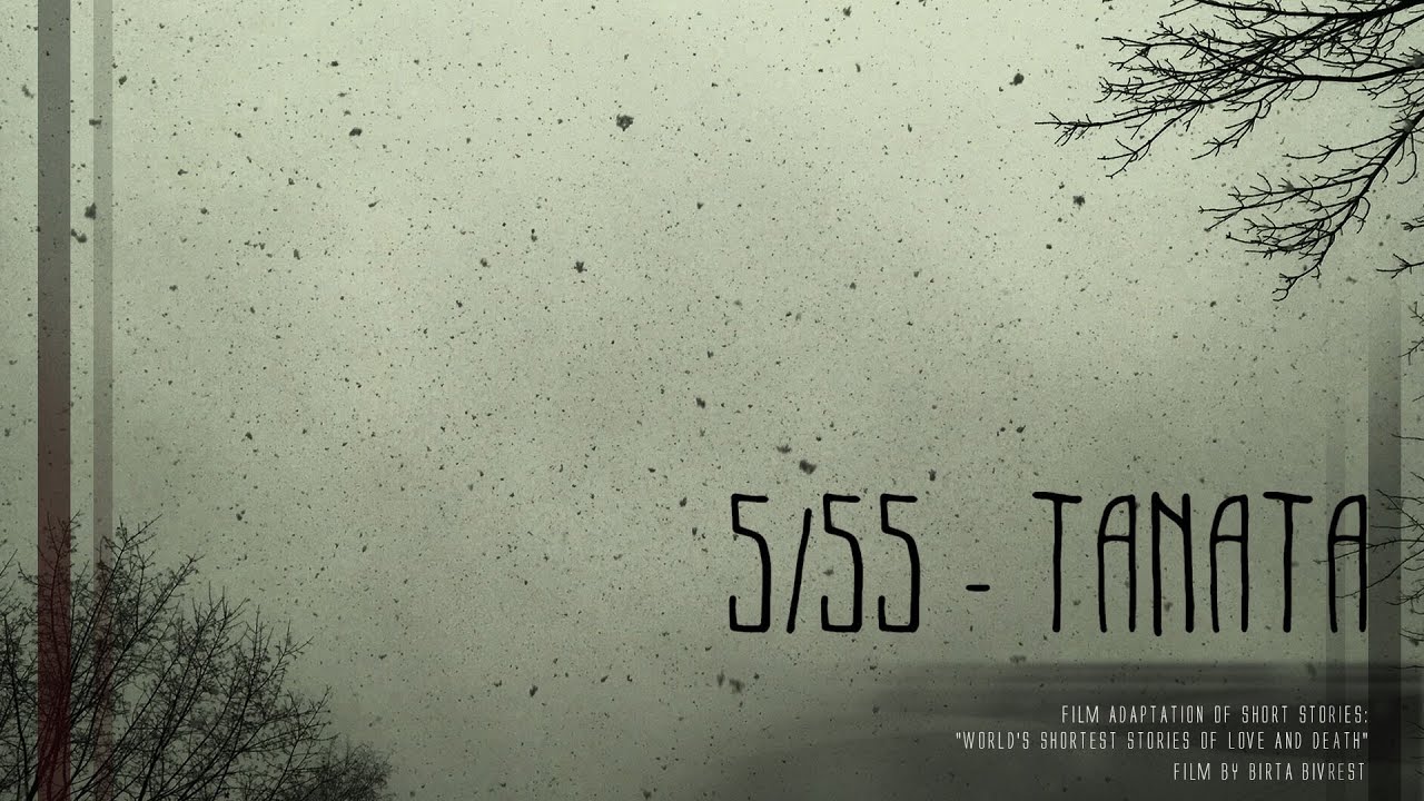 5/55 FIVE STORIES - TANATA 2017