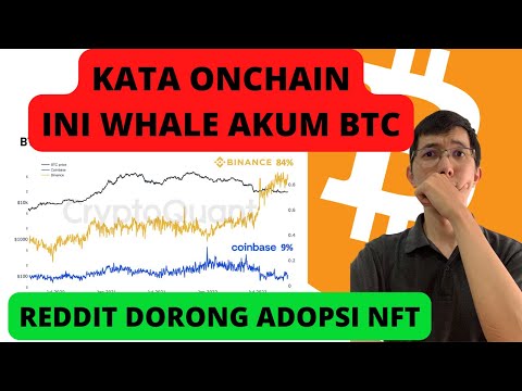 KATA ONCHAIN INI WHALE AKUMULASI TRUS | NFT MAKIN DIADOPSI | Update Harga BTC Hari Ini
