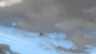 Pete flying his 700E inverted for the first time.