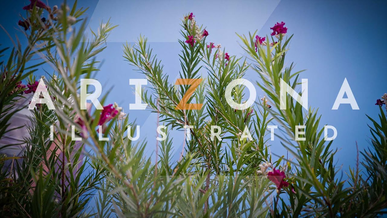 Arizona Illustrated 1015 - Desert Living Home Tour, BIPOC Entrepreneurs, Desert Willow, DO(OM) Yoga