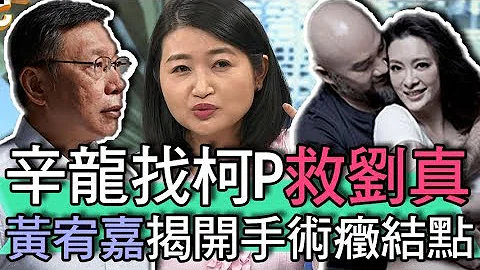 【精華版】辛龍找柯P救劉真？黃宥嘉揭開手術癥結點 - 天天要聞
