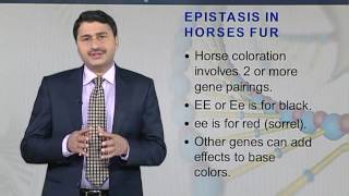 BIO301 Topic022