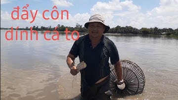 đẩy côn-mới vô đã dính cá bự rồi-nghề đẩy côn bắt cá lóc đồng mùa nước nổi-tập 6