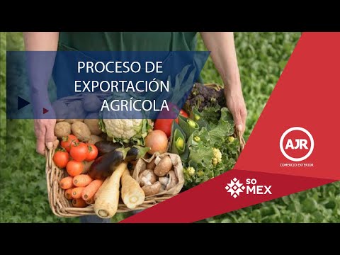 Vídeo: 10 Alimentos Para Probar En México - Matador Network