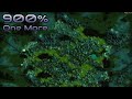 They are Billions - 900% No pause - One more - Caustic Lands