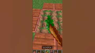 Minecraft Rabbit Trap (はいよろこんで) #minecraft #shorts