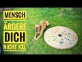 Mensch ärgere dich nicht XXL