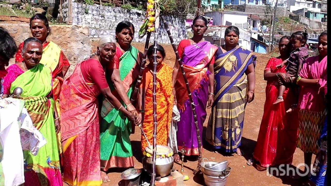 சமத்துவ பொங்கல்January 15, 2026