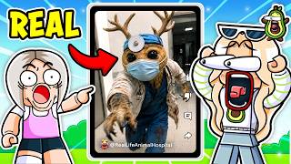 ANIMAL HOSPITAL IN REAL LIFE...