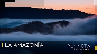 ¿ Por qué es importante la Amazonía? | Planeta en Peligro Nat Geo
