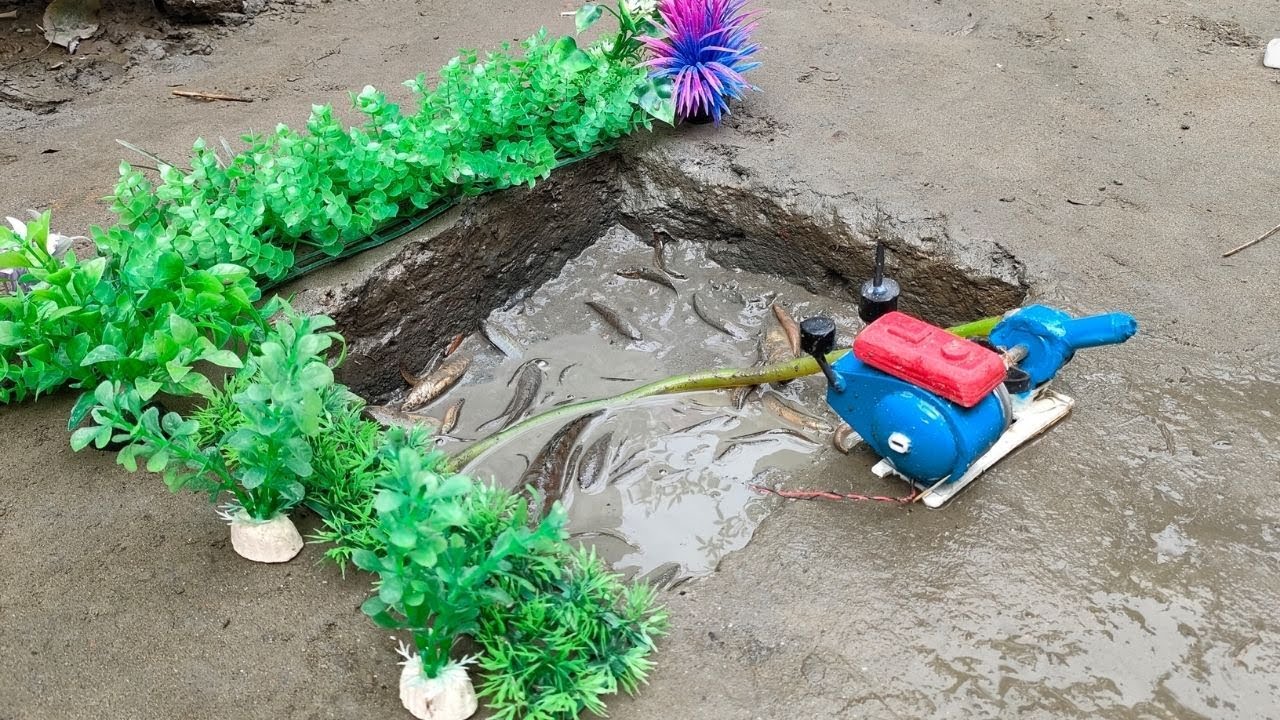 Catch Fish From Field Using Mini Water Pump - Fishing Exciting Science Project