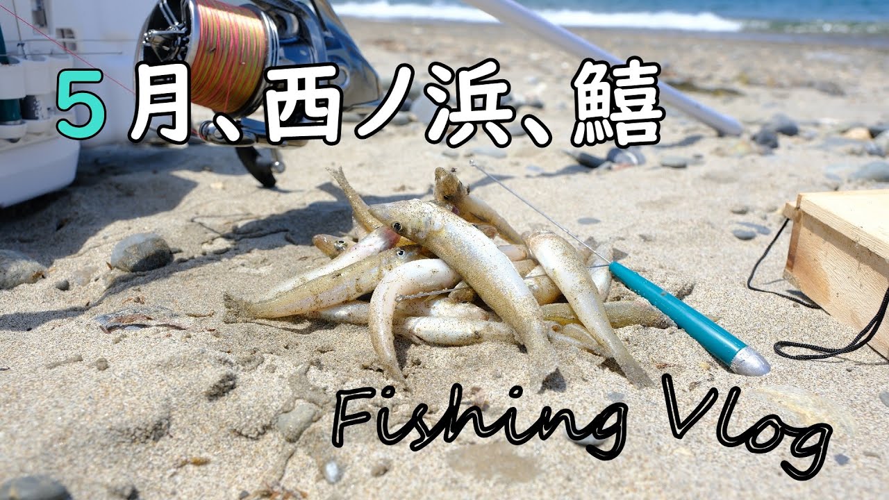 【投げ釣り調査】5月のはキスを求めて【好調の西ノ浜】