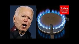 GOP Lawmaker: Here's Proof Democrats Are Already Banning Gas Stoves