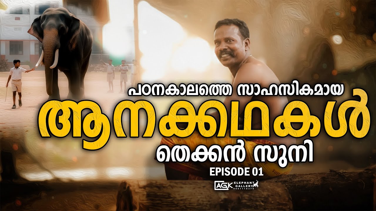 ആനയെന്ന പ്രാന്തിന്റെ പിറകെ തൊട്ടിയുമേന്തി | തെക്കൻ സുനി | THEKKAN SUNI | EPISODE 01