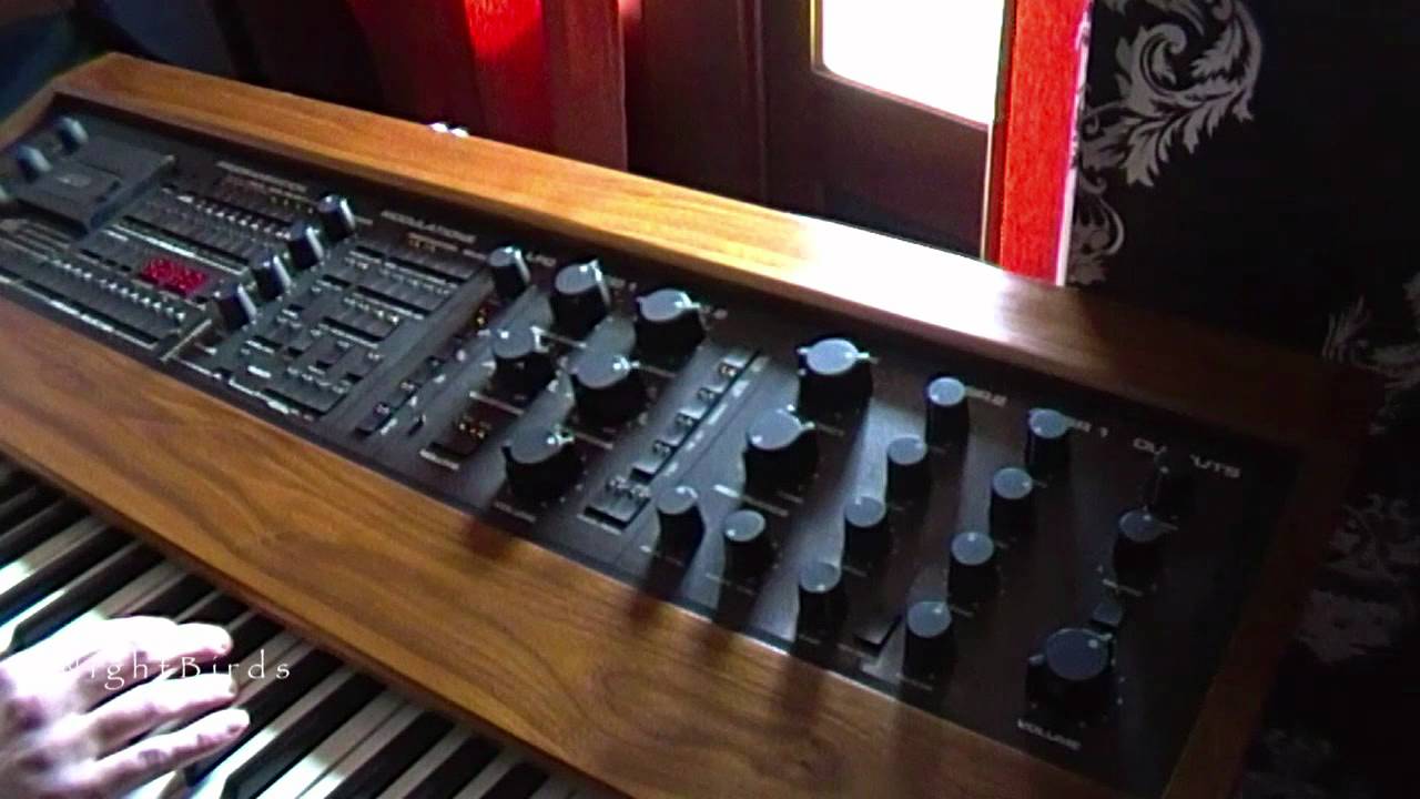 RSF Polykobol Demo multitrack recording, ambient sounds (NightBirds