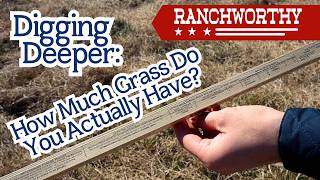 Digging Deeper How Much Grass Do You Actually Have?