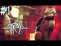 猫の動きが可愛すぎてSNSでトレンド入りした猫が主役の探索ゲームやるぞ！#01(Stray)