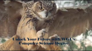 Unlock Your Future with WGU's Computer Science Degree