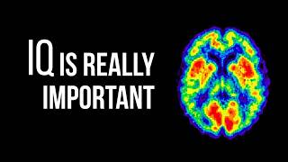 The Truth About IQ