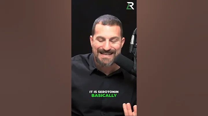 The Truth About Serotonin Supplements | Dr. Andrew Huberman #neuroscience #shorts #podcast