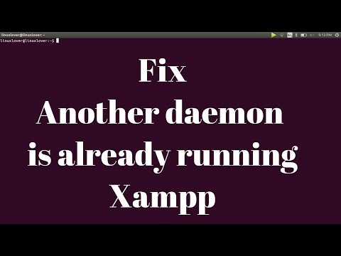 Fix Another daemon is already running.