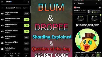 Sharding Explained Blum Video Code | Dropee Question of the day code 17October | Keyword Today Code