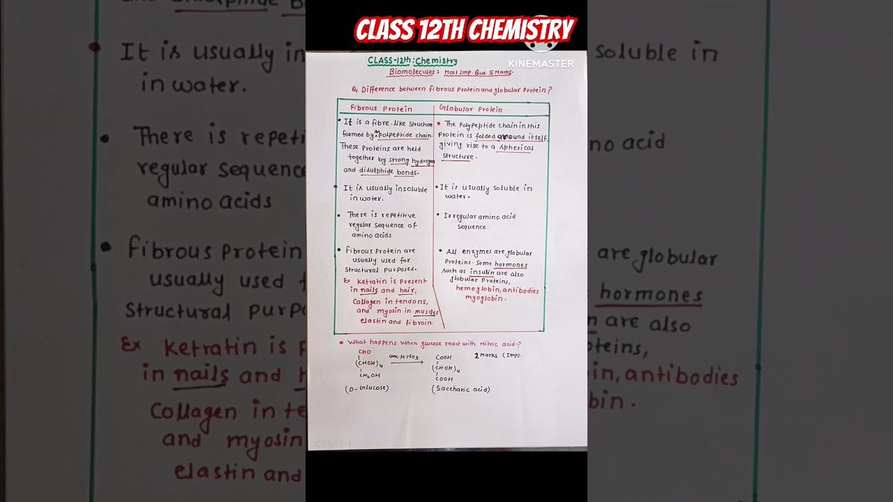 Biomolecules Class 12 Chemistry|Fibrous Proteins and Globular Proteins|